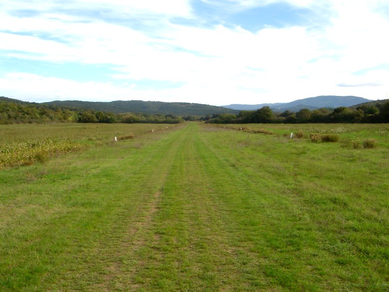 Exclusive Residences Exclusive Manor House with 350 ha Land, Tuscany, Italy